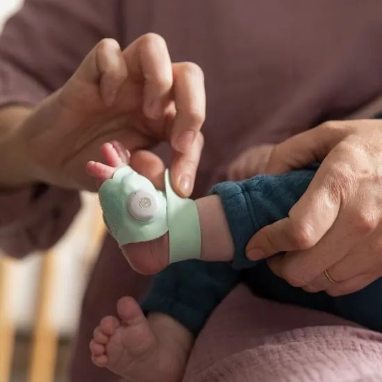 Owlet Smart Sock 3 Bundle - Sleepy Sage